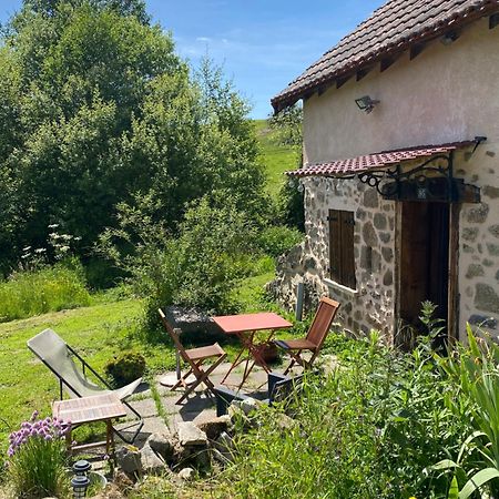 Maisonnette Chaleureuse De 35M2 Miremont  エクステリア 写真