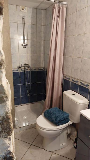 Maisonnette Chaleureuse De 35M2 Miremont  エクステリア 写真